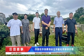 中国茶叶流通协会王庆会长视察茶庄园